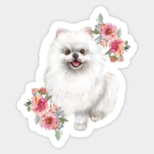 Cute White Pomeranian Puppy Dog Watercolor Art Sticker